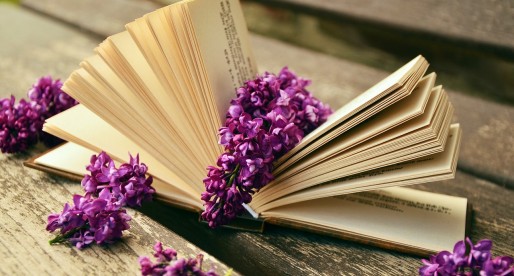 Getting your novel published