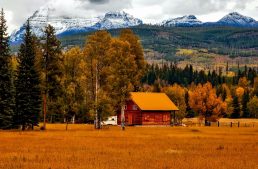 Niche but Profitable Real Estate Markets