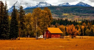 Niche but Profitable Real Estate Markets