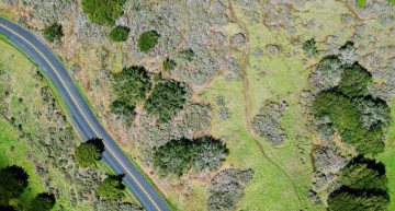 Land: No One is Making Any More Of It